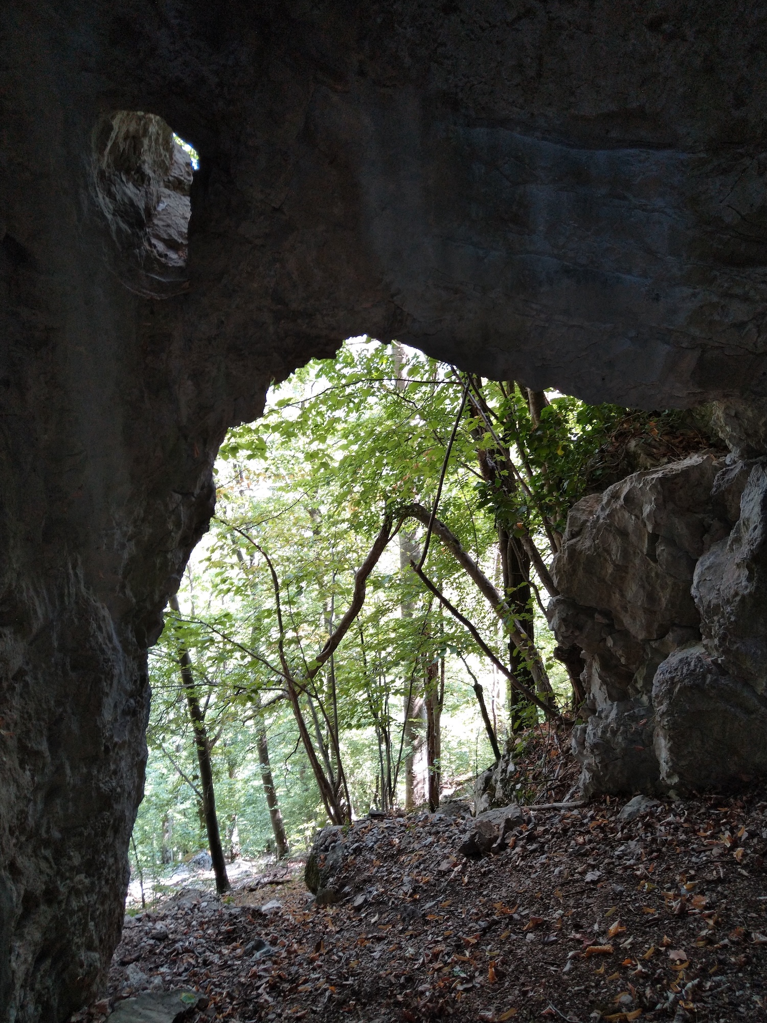 Peștera Toplița Nr.3 - Image 3